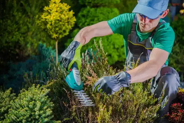 landscaping services Commercial Point